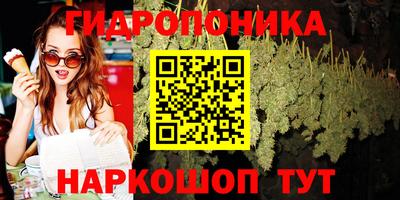 сатива Белореченск