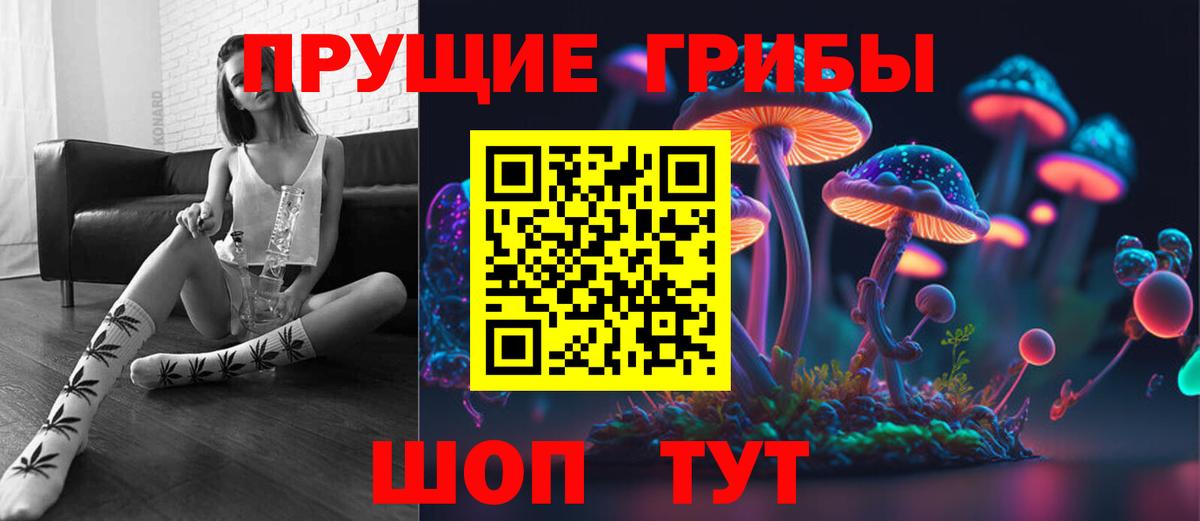 Галлюциногенные грибы Psilocybine cubensis Дмитров